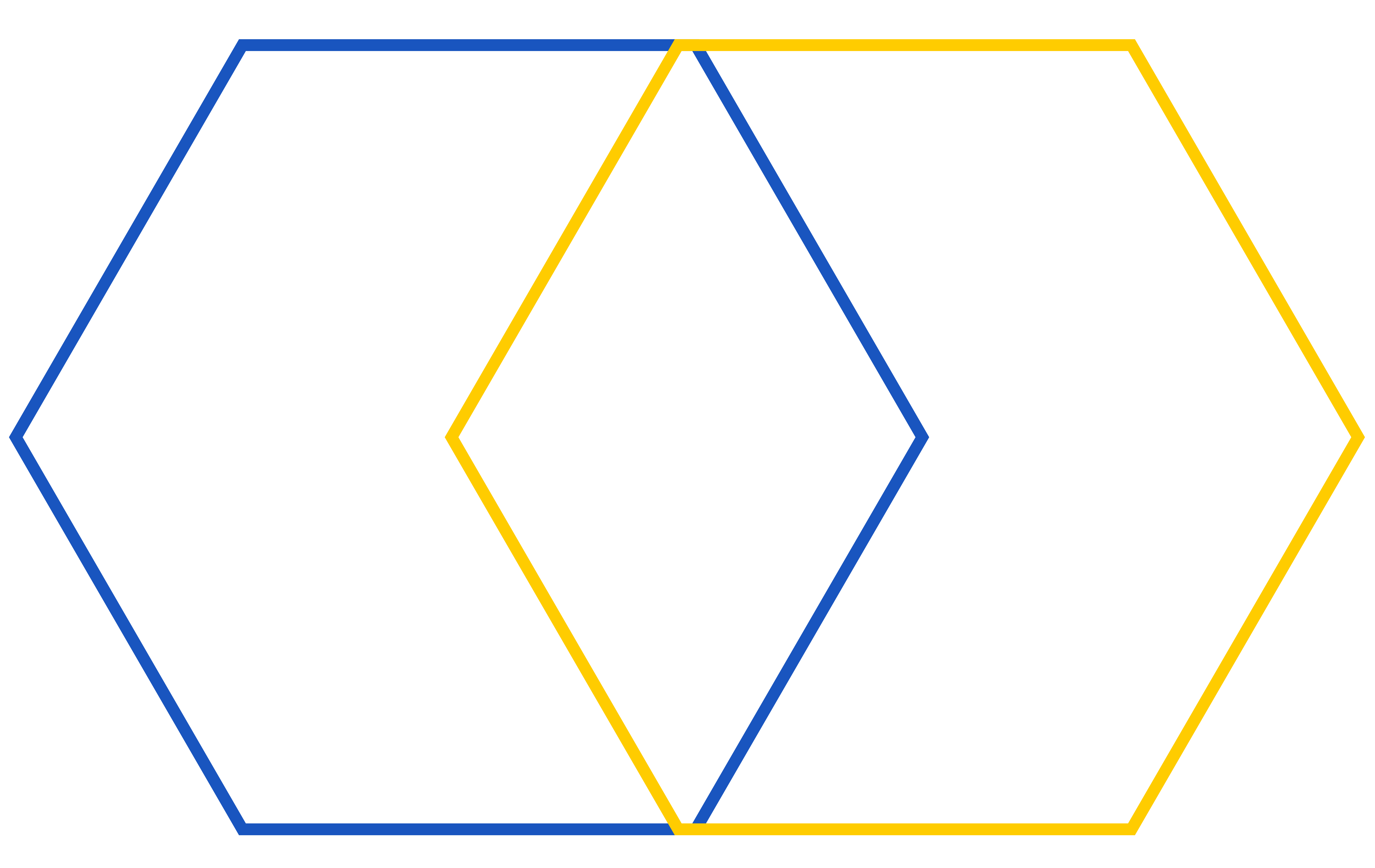 project Logo