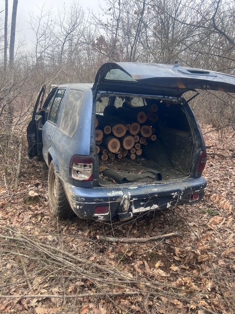 Policia parandalon një rast të vjedhjes së pyllit në fshatin Siqevë të Prishtinës