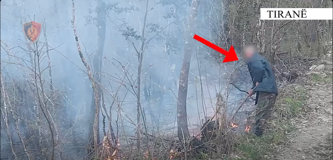 Arrestohet 62-vjeçari që dyshohet se ndezi zjarr në Parkun Kombëtar të Dajtit