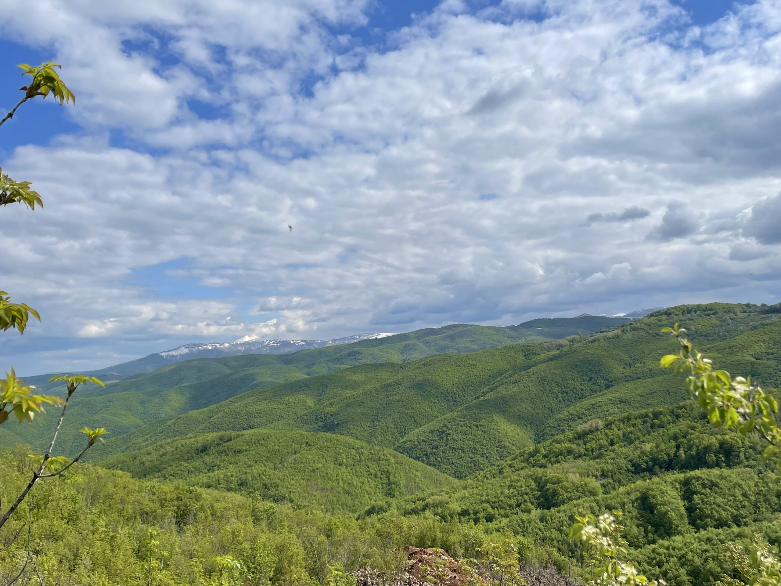 Moti sot me diell dhe vranësira të shpërndara